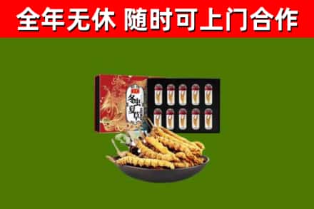 无棣县烟酒回收冬虫夏草礼盒.jpg